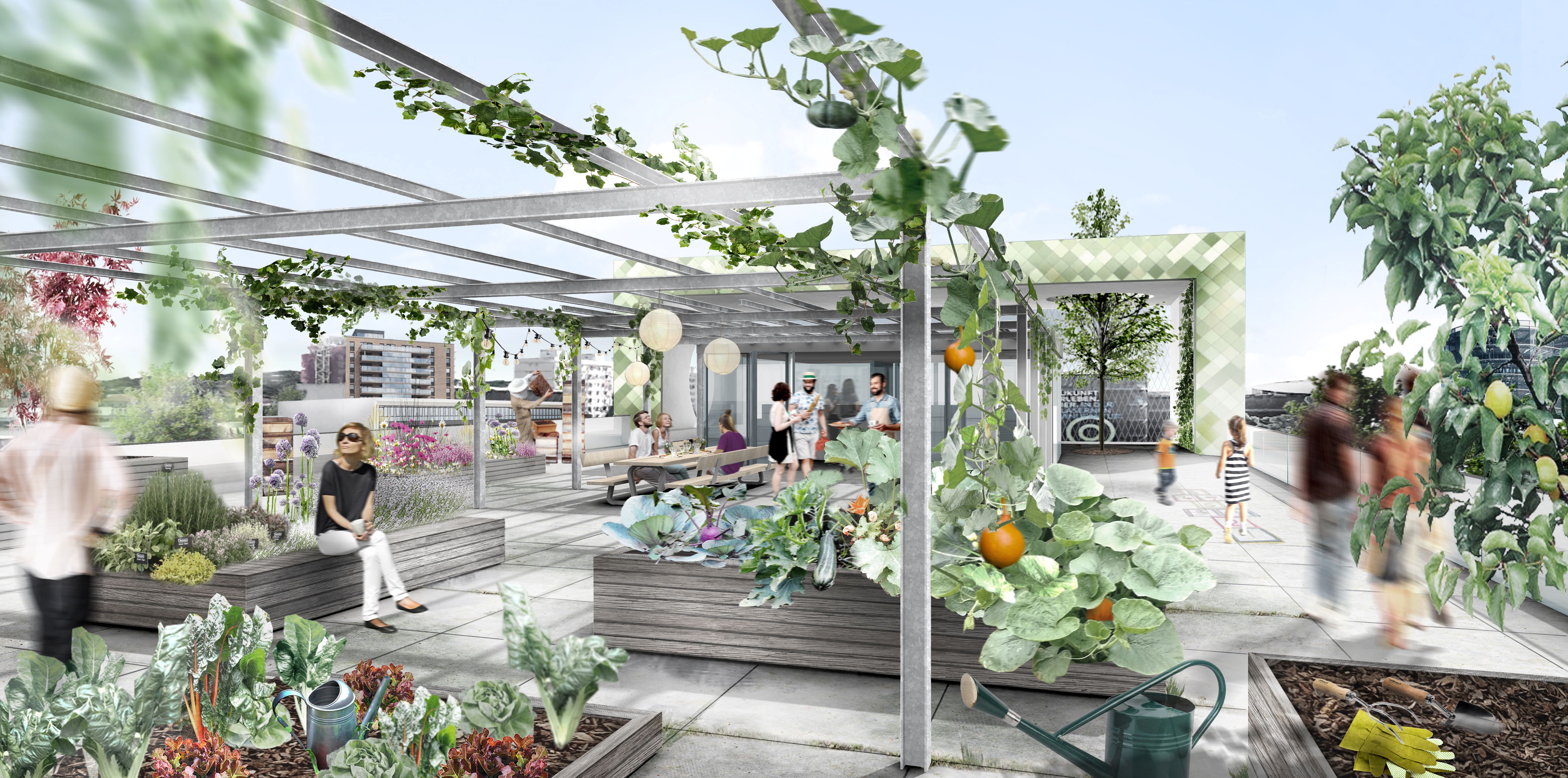 Illustration des Dachgartens auf dem Tower Philosophus, der eine harmonische Verbindung von Natur und Architektur zeigt.